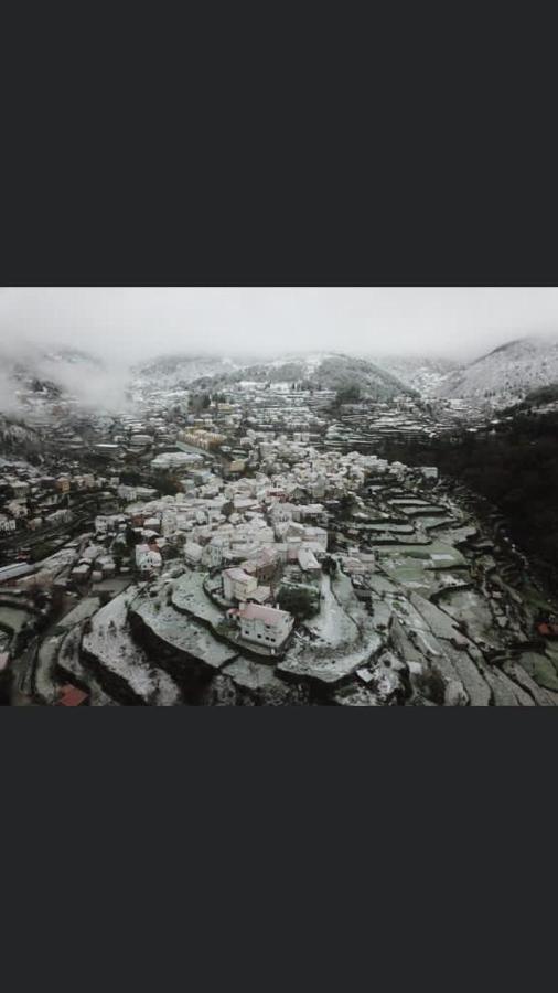 فيلا Casa Da Carvalha - لوريغا المظهر الخارجي الصورة